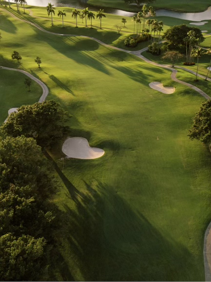 Aerial view of the golf course